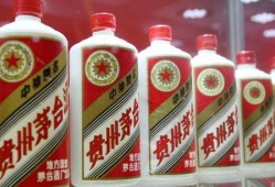 喝茅台酒爆料视频大全下载,喝茅台酒爆料视频大全下载全解析