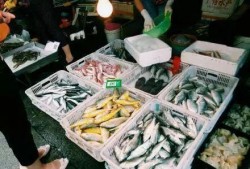 厦门今日菜市场爆料,探寻地道的市井烟火气
