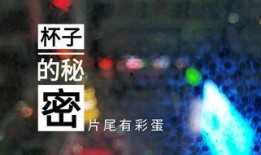 哈萨克斯坦爆料视频,真实事件背后的惊人真相