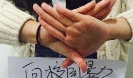 爆料河北学校事件视频播放,真相与反思