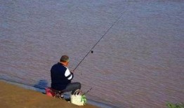 娱乐吃瓜钓鱼视频下载安装