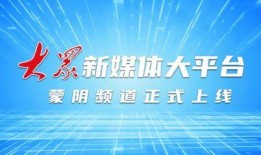 山东蒙阴媒体爆料新闻最新,媒体曝光惊人事件，真相令人震惊！