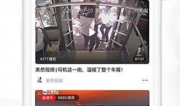 小陈爆料济南头条新闻视频,小陈独家爆料，揭秘最新热点事件！