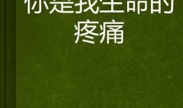 你是我的生命在线观看,感人至深的情感之旅