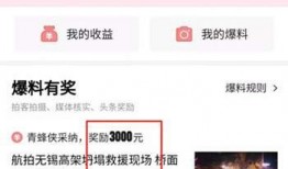 如东头条最新爆料,揭秘重大事件背后真相！