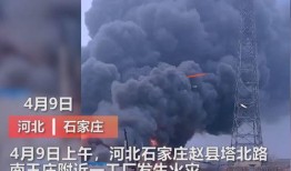 媒体爆料视频曝光违法吗,法律边界何在？