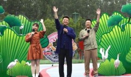 桃园日记最新爆料篇视频,揭秘幕后真相，精彩瞬间大盘点