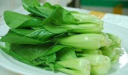 青菜爆料视频大全图片欣赏,视觉盛宴下的美食探索之旅