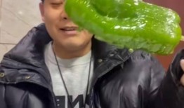 网红冷门吃瓜最新事件,最新事件背后的惊人真相