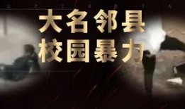 爆料河北学校事件视频播放,真相与反思