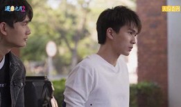 逐月之月在线观看,月月精彩，在线观看指南