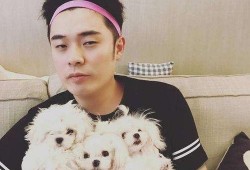 娱乐圈爆料出道年龄