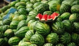 24年新瓜最新爆料销售,揭秘销售界最新动态与趋势