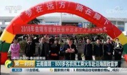 云南曲靖新闻爆料视频,最新爆料视频揭示惊人事件