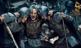 电视剧大军师司马懿之军师联盟在线观看,揭秘三国风云，司马懿智斗群雄的传奇人生