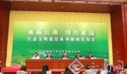 云南曲靖新闻爆料视频,最新爆料视频揭示惊人事件