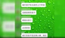 爆料河北学校事件视频播放,真相与反思