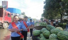 交城吃瓜事件网红,网红引发的网络狂欢与反思