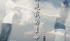 你是我的生命在线观看,感人至深的情感之旅