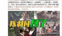 章叔前妻爆料视频,婚姻真相与情感纠葛