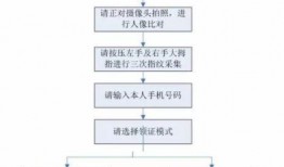 24年新瓜最新爆料销售,揭秘销售界最新动态与趋势