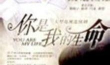 你是我的生命在线观看,感人至深的情感之旅