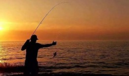 娱乐吃瓜钓鱼视频下载安装