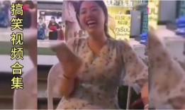 牛配牛视频在线观看,一场别开生面的网络视频盛宴