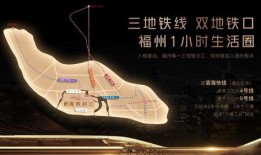 星文新闻爆料,揭秘娱乐圈最新爆料，真相令人震惊！