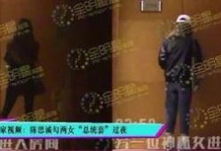 卓伟爆料陈思成视频播放,真相与争议交织