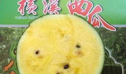 娱乐吃瓜图片图文素材大全,吃瓜图鉴，带你领略明星幕后故事