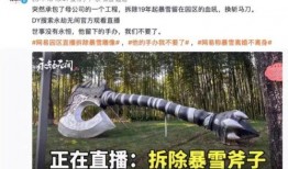 最新爆料暴雪事件视频,最新爆料引发行业热议