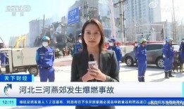 瑞安记者爆料新闻事件视频,新闻事件视频引发热议