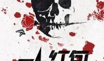 夺命红包小说在线观看,揭秘网络陷阱背后的惊悚真相
