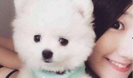 博美爆料新闻视频播放在线观看,新闻视频在线观看，揭秘幕后真相