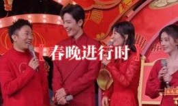 春晚杨迪爆料视频大全,笑料百出，揭秘娱乐圈幕后趣事