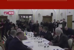 新闻天天看在线观看直,在线观看，掌握时事动态