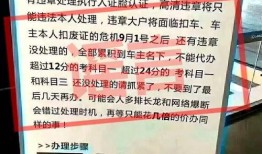新闻爆料 搞笑视频大全,新闻爆料中的搞笑视频大盘点